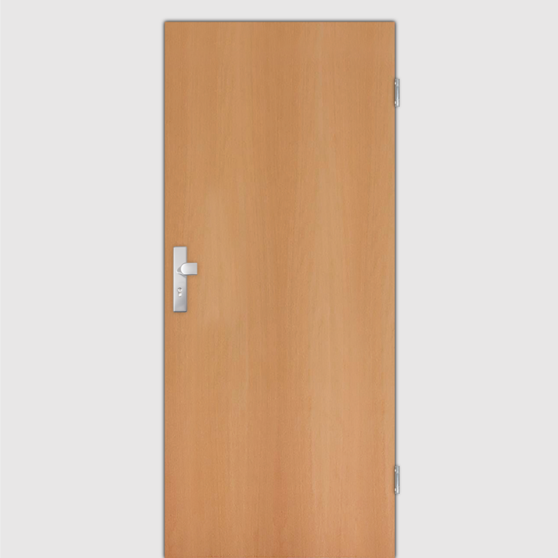 Buche Wohnungstüren / Schallschutztüren Echtholzfurnier